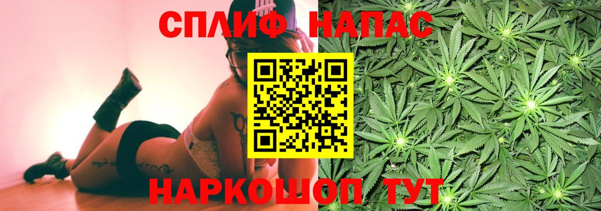 Канабис MAZAR  Каннабис OG Kush  Вход с VPN  Марихуана план  Ревда  Бошки Шишки SATIVA & INDICA 